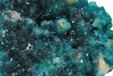 Vibrant Blue Veszelyite Cluster on Hemimorphite - Congo #228252-4